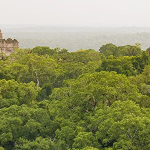 Temples in Tikal National Park (Parque Nacional Tikal) UNESCO World Heritage Site