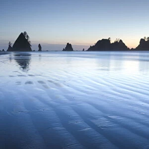 Twilight over Shi Shi Beach, sea stacks of Point of the Arches are in the distance