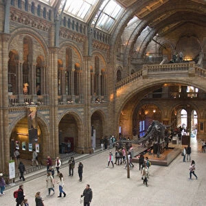 UK. London. Kensington. Natural History Museum. Visitors in the great hall