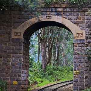 UNESCO, India, Tamil Nadu, Nilgiri Mountains, Heritage Steam Train, Udagamandalam