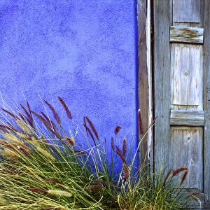USA, Arizona, Tucson. Colorful wall and weathered door