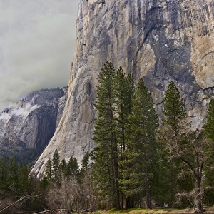 USA California Yosemite El Capitan
