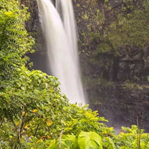 USA, Hawaii, Rainbow Falls. Waterfall and tropical landscape