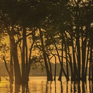 USA, Louisiana. Sunrise on Millers Lake