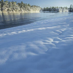 USA, New Jersey, Pine Barrens National Preserve. Snow-covered forest and lake shore