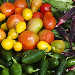 USA; North America; Georgia; Savannah; Fresh organic vegetables at a Farmers Market