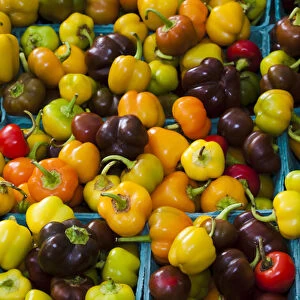 USA; North America; Georgia; Savannah; Fresh colorful organic peppers at a Farmer s