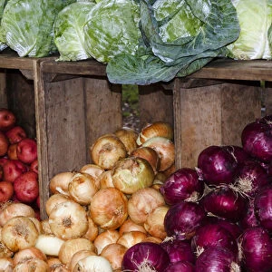 USA; North America; Georgia; Savannah; Fresh colorful vegetables at a Farmer s