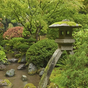 USA, OR, Portland, Portland Japanese Garden