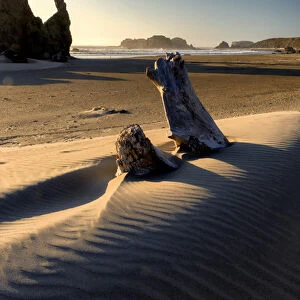 USA, Oregon, Bandon. Beach landscape. Credit as: Jay O Brien / Jaynes Gallery / DanitaDelimont