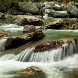 USA, Tennessee, Great Smoky Mountains National Park, Little Pigeon River at Greenbrier