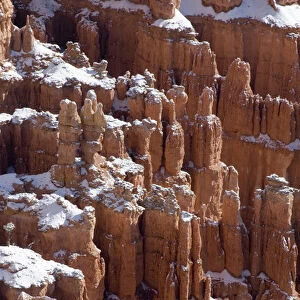 USA - Utah. Pillars of limestone at Bryce Canyon National Park after snowstorm