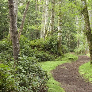 USA, Washington, San Juan Islands. Trail through woods on Stuart Island. Credit as