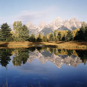 USA, Wyoming, Grand Teton National Park, Grand Teton mountains reflecting in beaver pond