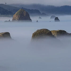 View of Cannon Beach with sea stacks with rising fog from Ecola State Park