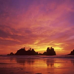WA, Olympic NP, Shi Shi beach at sunset, Point of the Arches