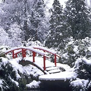 WA, Seattle, Moon bridge and pond after winter snow storm; Kubota Garden