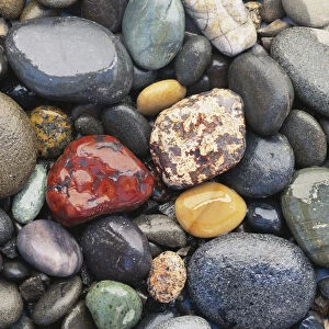 Washington Coast, Olympic National Park, Ruby Beach, Wet pebbles, close-up (full frame)