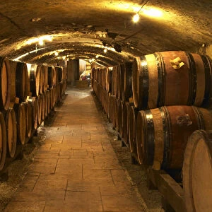 Wooden barrels with aging wine in the cellar of Guigal in Ampuis. Domaine E Guigal