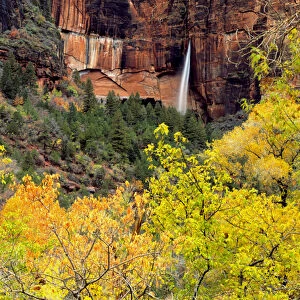 Zion National Park, Utah. USA. Ephemeral waterfall pours out of slot in cliff during