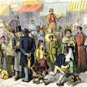 Comprar pavos de Acción de Gracias en Hartford, Connecticut, 1870s. Comprar pavos de Acción de Gracias en Hartford, Connecticut, 1870s.
