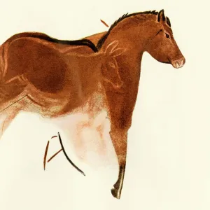 Prehistoric cave art of a horse with foal, Altamira, Spain