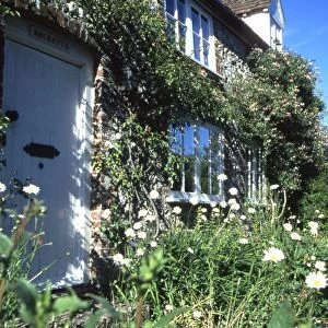 A cottage garden in East Dean, West Sussex