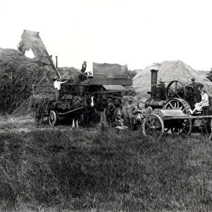 Steam threshing, 1931