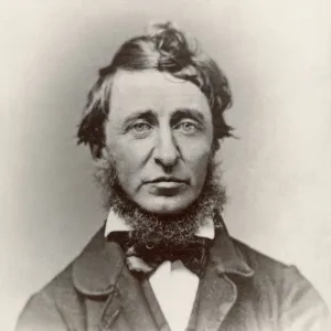 : Daguerreotypes