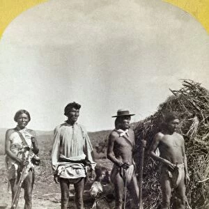 APACHE WARRIORS, c1873. Group of young Coyotero Apache warriors near Camp Apache, Arizona