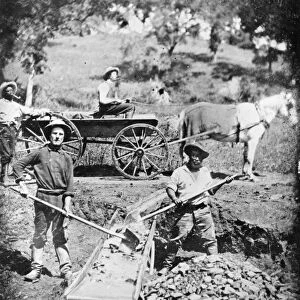 CALIFORNIA GOLD RUSH, 1852. Miners working in Spanish Flat, California during the Gold Rush