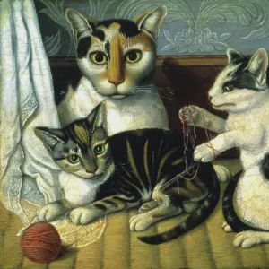 : Cats