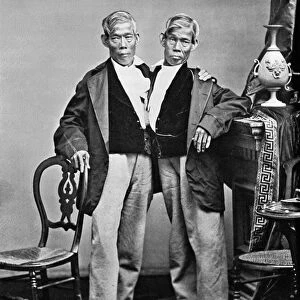 CHANG AND ENG (1811-1874). The original Siamese Twins. Photographed by Mathew Brady