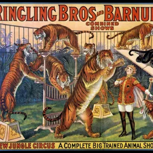 : Circus