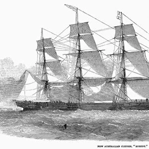 CLIPPER SHIP, 1853. The Australian clipper Speedy. Wood engraving, English, 1853