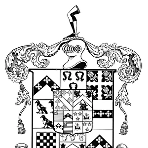 COAT OF ARMS. Coat of arms of Thomas John Eyre, Esq. of Upper Court, Co. Kilkenny