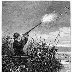 DUCK HUNTING, 1888. Shooting canvas-back ducks on the Chesapeake Bay. Line engraving, American, 1888