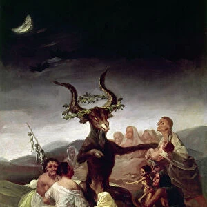 Artists Collection: Francisco Goya