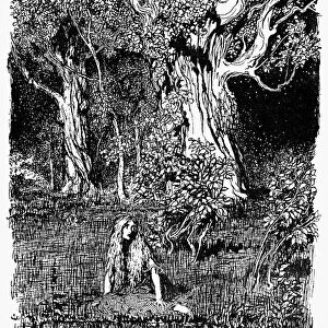 GRIMMs FAIRY TALES, 1900. Illustration by Arthur Rackham for an edition of Grimms Fairy Tales