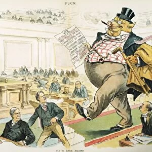 Hes Back Again. After William McKinleys victory in the 1896 election, the lobbyist for protective tariffs walks tall and fat in the U. S. Congress. Cartoon, 1897, by J. S. Pughe