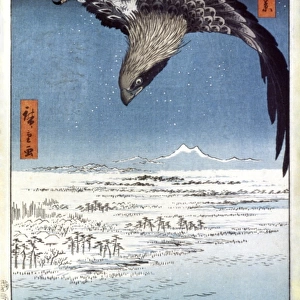 HIROSHIGE: EDO/EAGLE, 1857. Eagle over Edo, Japan. Woodblock print