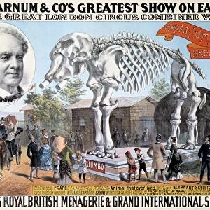JUMBO SKELETON. Circus poster for P. T. Barnums Greatest Show on Earth combined with Sangers Royal British Menagerie & Grand International Shows, c. 1890
