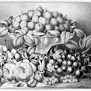 STILL LIFE, c1863. Fruit and Flower Piece. Engraving by Frances F. Palmer for Currier & Ives
