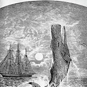 MELVILLE: MOBY DICK. The only known picture of Moby Dick drawn during Melvilles lifetime. Wood engraving, late 19th century