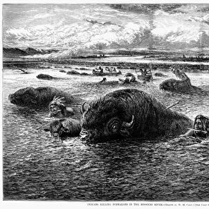 NATIVE AMERICAN HUNTING BUFFALOES. Indians Killing Buffaloes in the Missouri River. Wood engraving, American, 1874, after William de la Montagne Cary