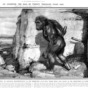 NEANDERTHAL MAN. First reconstruction of a Neanderthal man, from the La Chapelle-aux-Saints Neanderthal skeleton, discovered in France in 1908. Drawing by Frantisek Kupka, with the aid of Marcellin Boule. Published in The Illustrated London News, 27 February 1909