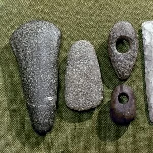 NEOLITHIC TOOLS. Neolithic stone and flint tools found in Essex, England, c2700-1800 B. C