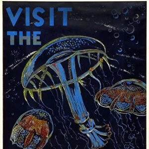 POSTER: AQUARIUM, c1935. Visit the Aquarium. Poster promoting the Philadelphia Aquarium