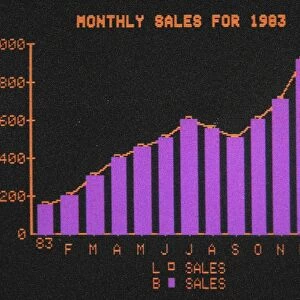Sample bar graph of VisiTrend graphics software depicting a companys monthly sales, as displayed on an Apple II computer, c1983