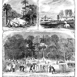 SOUTH CAROLINA, 1863. The campaign in South Carolina - scenes on the Sea Islands near Charleston